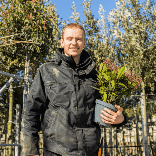 Aanplantservice