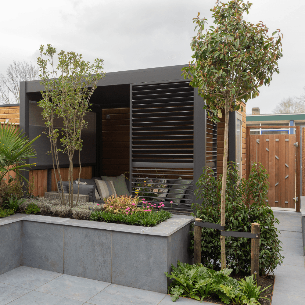 Bol Photinia